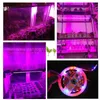 Светодиодные ленты для выращивания растений 1M 2M 3M 5M 12V 2A/3A Водонепроницаемая лампа для выращивания растений SMD 5050 Красный Синий Адаптер питания для освещения V27 YQ230926