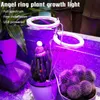 Огни для выращивания Ангел Кольцо Светодиодные лампы для выращивания Полный спектр Светодиодные лампы для выращивания Свет для выращивания Фитолампа для растений USB Светодиодная лампа для рассады комнатных растений YQ230926
