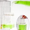 Other Bird Supplies 520ml Plastic Small Pet Water Drinking Fountain Bottle Feeder Parrot Dispenser Cage Hangable Bottles Leak Drop