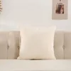 Travesseiro Teddy Velvet Throw Cover Sala de estar Sofá Candy Color Plush Fronha para Escritório Cadeira de Carro Decoração de Casa
