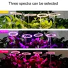 Огни для выращивания Ангел Кольцо Светодиодные лампы для выращивания Полный спектр Светодиодные лампы для выращивания Свет для выращивания Фитолампа для растений USB Светодиодная лампа для рассады комнатных растений YQ230926