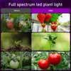 조명 5 헤드 묘목 성장 가벼운 가벼운 분광 Phytolamp USB 파워 150 LED 조명 가정 실내 식물을위한 식물 램프 꽃 재배 텐트 YQ230927