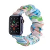 Apple Watch Strap Band 876543 için Saat Band Naylon Saç Bandı Güç Bağırsak Elastik Iwatch Kayışı 38/41/42/42/44/45/49mm Boyut Kod S/L