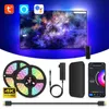 Ortam TV PC Arka Işığı HDMI Cihazları İçin LED STRIT IŞIKLAR USB RGB Bant Ekran Renk Senkronizasyonu Alexa Google TVS Kutusu W212T için LED Işık Kiti