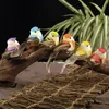 Objets décoratifs Figurines 6 X oiseaux artificiels fausse mousse simulation animale plumes oiseaux modèles bricolage mariage maison jardin ornement décoration 230925