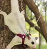 Harnais de remorquage Sugar Glider pour petits animaux, collier d'extérieur pour petit animal de compagnie, 3 tailles en un, vêtements anti-perte, laisse pour laisses ZA212 230925