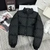 Womens Short Down Jacket High Quality Designer Downs Parkas Whole Triangle Classic Winter Coats Trend Girls Thick Outerwear SML