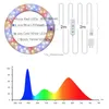 성장 조명 JCBRITW 데스크탑 LED 실내 식물을위한 스탠드에 램프 링 링 벨트 링.
