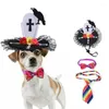Kedi Kostümleri Komik Pet Cosplay Bow-Tie Headdress Po Props Kediler ve Köpekler için Uygun