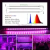 Grow Lights Grow Light Tubes LED 220V 7W Plant Bar Lights Spettro completo Phytolamp per piante da interno Acquario Serra Tenda Lampade da coltivazione YQ230926