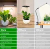 Grow Lights Full Spectrum LED Grow Light USB 5V Justerbar Phyto -lampa med timer för växter Blommor Plantor växthus Fitolampy YQ230926