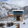 Dekoracje ogrodowe Solar Smart Bird Feeder z kamerą 1080HD Nocne widzenie AI rozpoznawanie gatunków połączenie Auto 230925