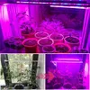 Whod Lights Pełny spektrum LED LED Light 110 V 220V 12W Phytolamp LED BASE LIGHT LIGHT 90LEDS RURE LIFE RURE DO ROŚLINY Namiot szklarni SEedling YQ230927