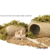 Andra husdjurstillbehör Hamster Cooling Stone House för sommaren Small Shelter Sleeping Cave Guinea Pig Chinchillas Ceramics Rat Cage 230925