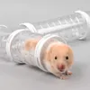 Andra husdjurstillbehör Hamster Transparent Runway Toy Set Pigs Hedgehog Tunnel Spelar Tools Solid Color for Small Animal Accessories 230925