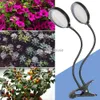 Rosną światła lampy fito pełne spektrum rośliny Rosną żarówkę USB Hydroponika Rosnącą Lampa Lampa LAMPA LED Namiot Halowy światło rośliny 15 W 30W 45 W 60W YQ230926