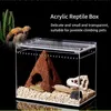 Reptile Supplies Transparent Acrylic Breeding Box Spider Lizard Amphibian Terrarium Leakproof Pet Habitat Arboreal Tarantula Enclre 230925