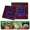 Grow Lights Full Spectrum Plant Light 25W 50W Phyto Growth Lamp 110V 220V inomhusplantor Grow Light Plant Lighting For Greenhouse Grow Tent YQ230926