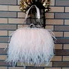 Sacs de soirée Femmes Sacs à main Marques célèbres Autruche Plume Embrayage De Luxe Designer Chaîne Sac De Fête 230926