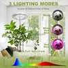 Grow Lights LED Grow Light per piante da interno 4000K Lampada per coltivazione di piante a spettro completo con LED rosso blu dimmerabile per piante con timer 3/9 / 12H YQ230926