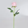 Fiori decorativi Singolo fiore di simulazione Serie calda Rose Soggiorno Disposizione Decorazione Bouquet secco in seta di plastica