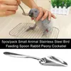 Other Bird Supplies 5pcs/pack Pet Stainless Steel Milk Powder Peony Cockatiel Small Animal For Parrot Feeding Spoon Water