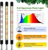 Светодиодный светильник для выращивания растений, полный спектр, USB 5 В, регулируемая фитолампа с таймером для растений, цветов, теплицы, рассады, Fitolampy YQ230926
