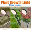 Grow Lights 5V LED élèvent la lumière USB Phyto lampe Sunlike spectre complet poussent tente Phytolamp hydroponique plantes semis intérieur cultiver tente boîte 2835 YQ230926