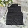 bébé gilet enfant gilet enfant manteaux vêtements pour enfants garçon filles designer veste enfant en bas âge sans manches marque de luxe top fasion épais chaud vêtements d'extérieur