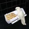 Inne zaopatrzenie ptaków Parakeet Zięby się zięby jedzenia naczynie z jedzenie