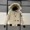 Kanadensisk jacka män pilot down jacka real wolf päls huva canvas parkas brev lapp blixtlås fickor varma tjocka utkläder designer 764 956