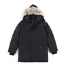 Дизайнерская мужская куртка Parka Puffer Winter Jackets Dow