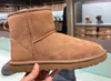 Winter Australien Frauen Plattform Pelz ug Knöchel Wolle Schuhe Schnürschuhe Schaffell echtes Leder klassische Marke Casual