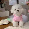 Odzież psa odzież kwiat kwiat uśmiechu bluzy dla psów ubrania kota mała słodka zima zima zielona moda Dziewczyna Yorkshire Akcesoria