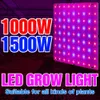 Grow Lights Indoor LED Phyto Lamp Spettro completo Grow Light 1000W 1500W Lampadina per piante Quantum Board LED Phytlamp Fiore Piantina Coltiva la tenda YQ230926