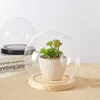 Bottles 2sets/pack Diameter 18cm Big Size Round Glass Dome Vase Home Deocration Different Log Base Transparent Cover Wedding Gift