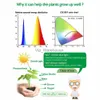 Grow Lights 5V Solar LED-anläggning Grow Light Strip Full Spectrum Phytolamp Lamp 1-5M Strip för blomsterväxande växthustält Hydroponiska växter YQ230926