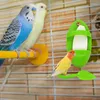 その他の鳥の供給パロキエットスタンドのカトルボーンホルダー