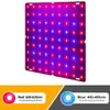 Cultivez des lumières LED croissance des plantes Light85-265V 1000W Phytolampes pour semis Quantum Board 1500W Fito lampes hydroponiques poussent boîte de tente de haute qualité YQ230926