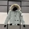 Kanadensisk jacka män pilot down jacka real wolf päls huva canvas parkas brev lapp blixtlås fickor varma tjocka utkläder designer 764 956