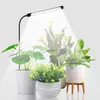 Grow Lights Luce per la crescita delle piante da interno 6000 K Spettro completo Luce per piante a collo di cigno per piccole piante per la semina Timer automatico YQ230926