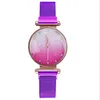 Whole Fashion Simple Dial Women Wristwatches Quartz Glossy Mesh Strap Goddess Watches Trend Magnet Buckle Ladies Watch251g