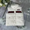 bébé gilet enfant gilet enfant manteaux vêtements pour enfants garçon filles designer veste enfant en bas âge sans manches marque de luxe top fasion épais chaud vêtements d'extérieur