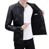 Manteau de moto en fourrure pour hommes, automne-hiver, Version coréenne, corps mince, belle et polyvalente, veste en cuir PU, 2023