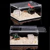 Reptile Supplies Transparent Acrylic Breeding Box Spider Lizard Amphibian Terrarium Leakproof Pet Habitat Arboreal Tarantula Enclre 230925