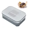 REPTILE Supplies Lizard Belling Box Easy Use Home Professional With Thermometer Turtles Birds PP stor kapacitet Återanvändbara ägg Inkubator 230925