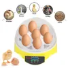 Outros suprimentos para animais de estimação Mini incubadora de ovos 7 ovos fazenda chocadeira ajustável temperatura digital aves para frango pato pássaro 230925