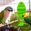 Autres fournitures d'oiseaux Porte-os de seiche pour cage Porte-os de seiche Accessoires de coupe d'alimentation Accessoires de stockage de fruits et légumes