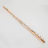 PF-8950ES Flute High Quality Phosphor Bronze 17 Key Flute Open Hole