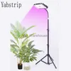 Grow Lights LED Grow Light med stativ Full Spectrum 50W 7000LX LED -lampan för inomhusväxter Tillväxt Standing Floor Grow Lamp med On/Off YQ230926